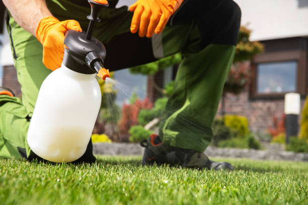 Best Pest Control for Restaurants  in Indianola, MS