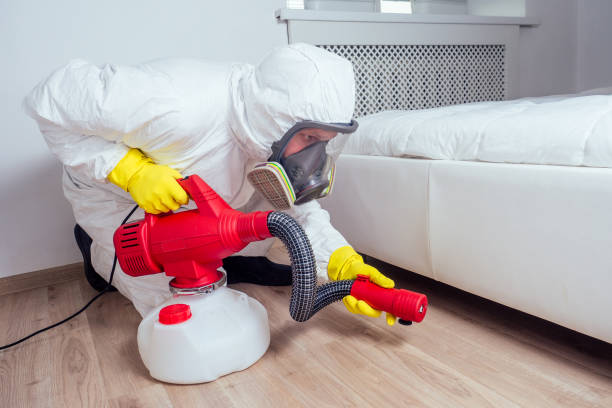 Best Affordable Pest Control Services  in Indianola, MS