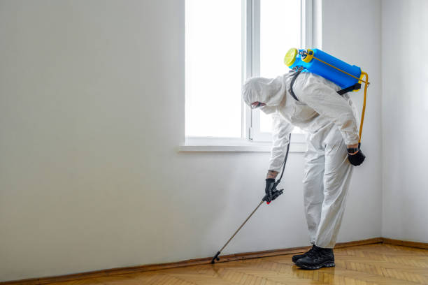 Best Affordable Pest Control Services  in Indianola, MS