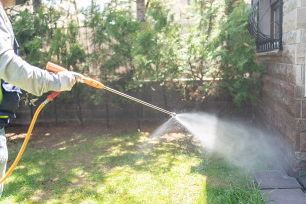 Pest Prevention Services in Indianola, MS
