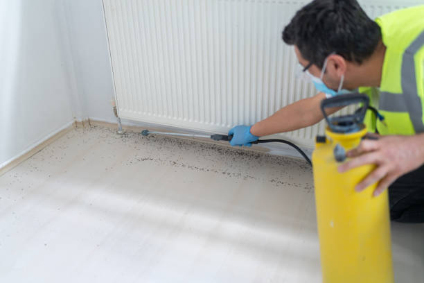 Best Emergency Pest Control  in Indianola, MS